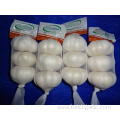 Good Quality Pure White Garlic Crop 2019